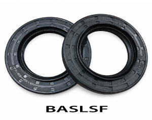 BASLSF