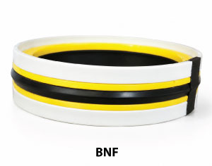 BNF