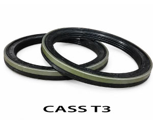CASS-T3