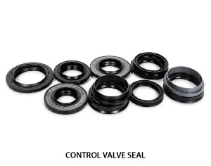 CONTROL VALVE SEAL