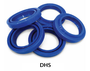DHS