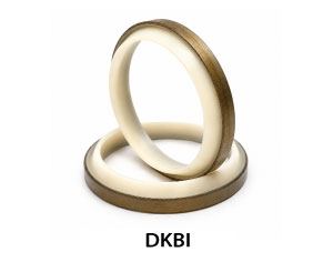 DKBI