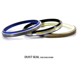 DUST SEAL 02