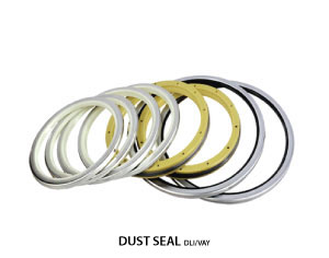 DUST-SEAL-DLI/VAY