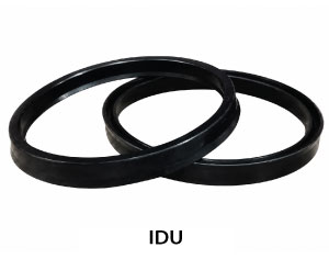 IDU