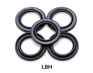 LBH
