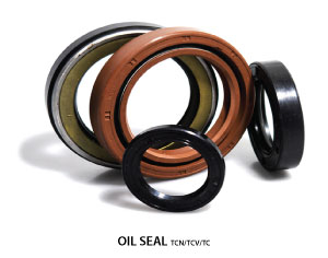 OIL SEAL TCN/TCV/TC