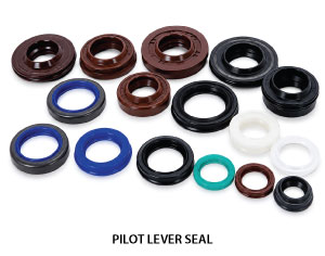 PILOT-LEVER-SEAL