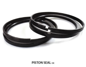 PISTON SEAL OK
