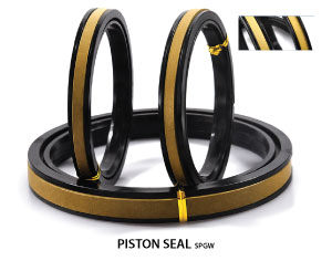 PISTON SEAL SPGW