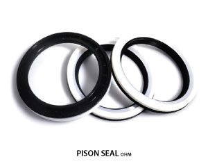 Pison-Seal