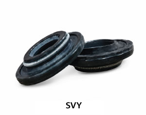 SVY