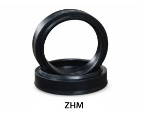 ZHM