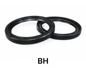 BH