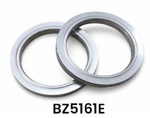 BZ5161E