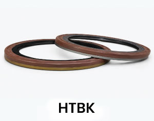 HTBK