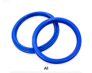 A1