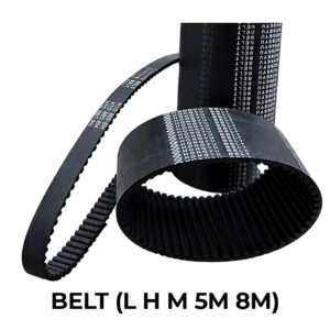BELT (L H M 5M 8M)
