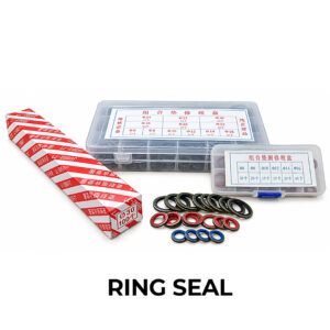 RING SEAL